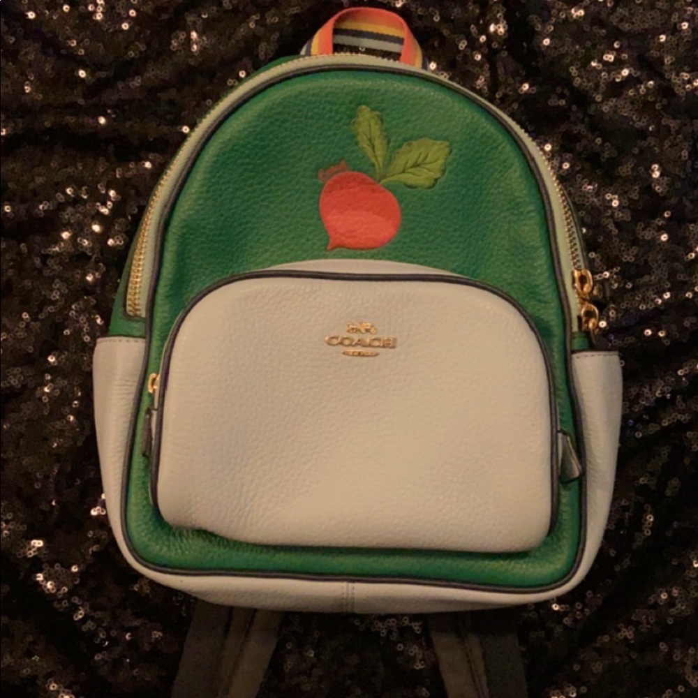 🌺🌸COACH mini book bag
